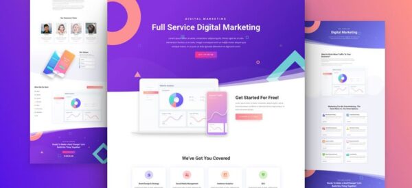 Divi Theme + Divi Builder
